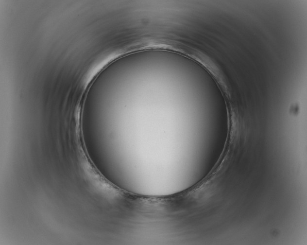 X0000111921198200907271241