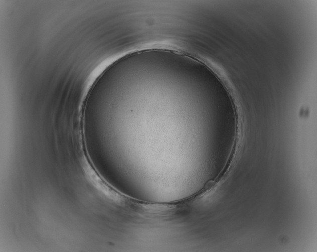 X0000111921200200907271241