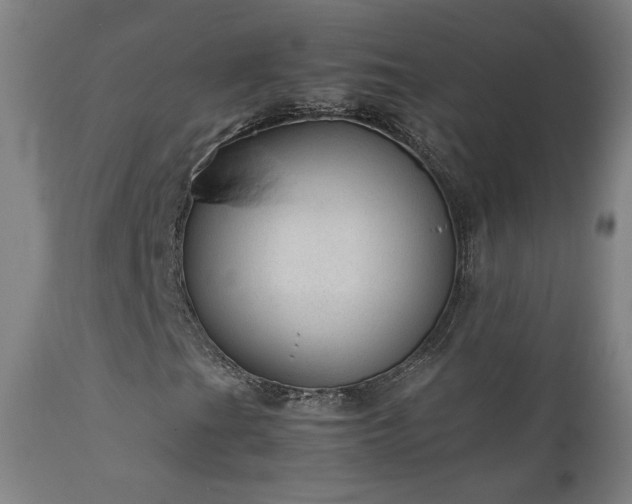X0000111921201200907271240