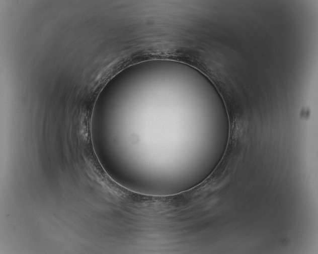 X0000111921202200907271240