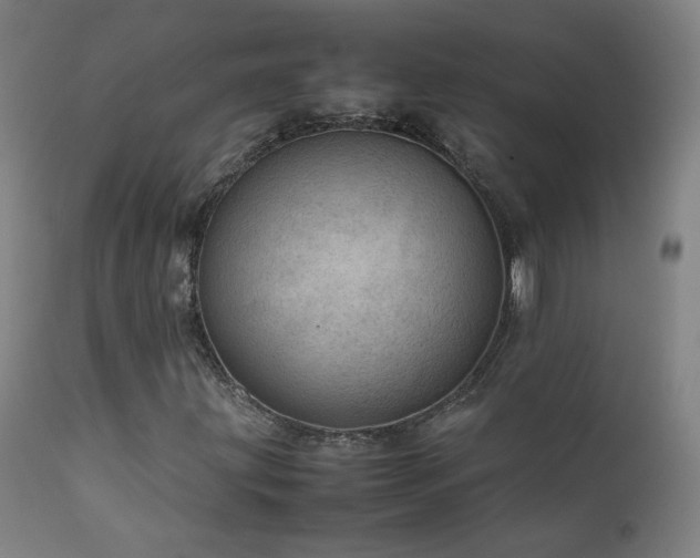 X0000111921203200907271240