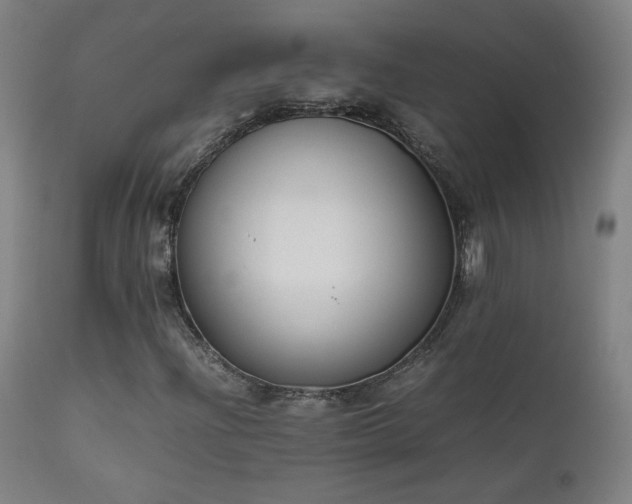 X0000111921204200907271240