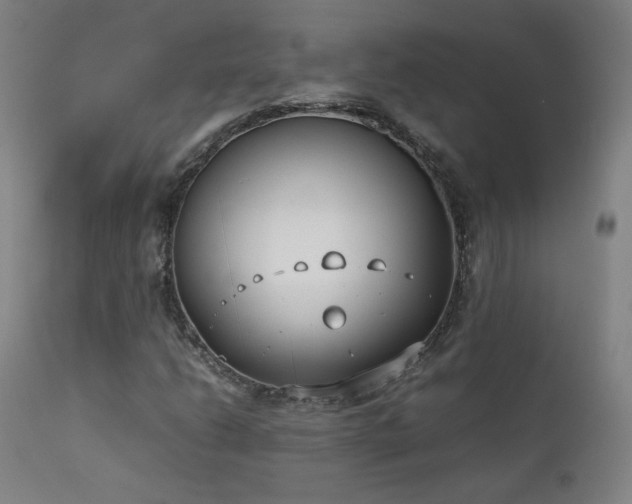 X0000111921206200907271240