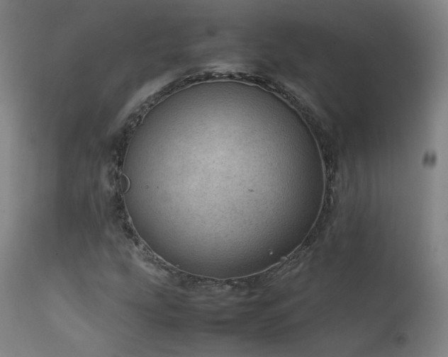 X0000111921207200907271240