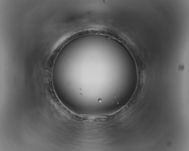 X0000111921208200907271240