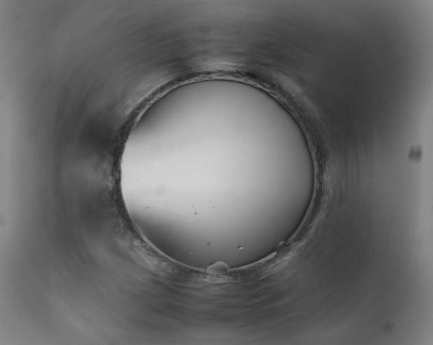 X0000111921209200907271240