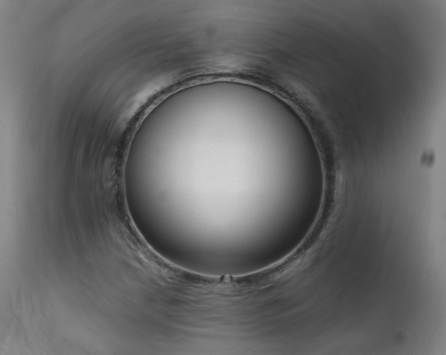 X0000111921210200907271240