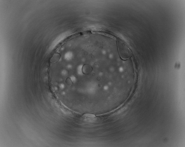 X0000111921211200907271240