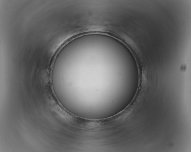 X0000111921212200907271240