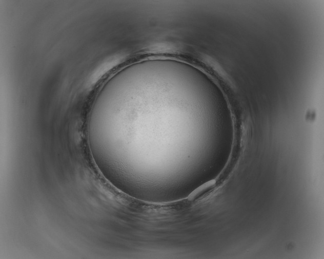 X0000111921213200907271240