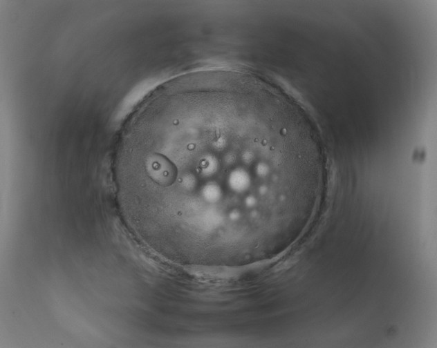 X0000111921215200907271240