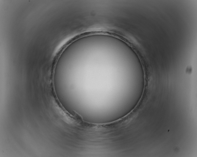X0000111921216200907271240