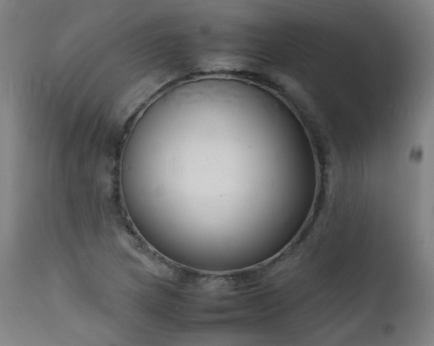 X0000111921217200907271240