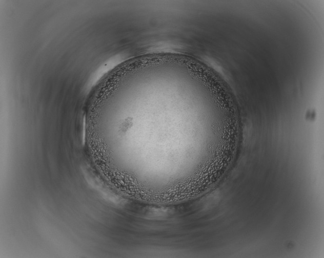 X0000111921219200907271240