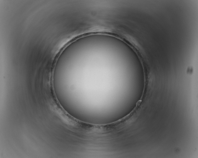 X0000111921220200907271240