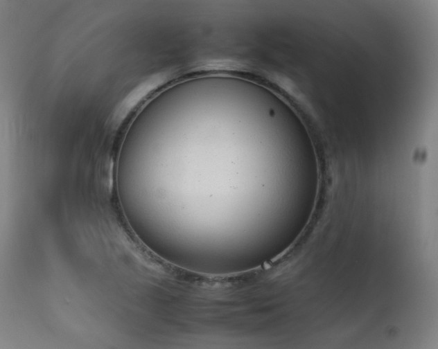 X0000111921221200907271240