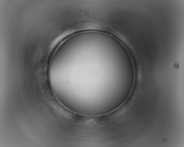 X0000111921222200907271240