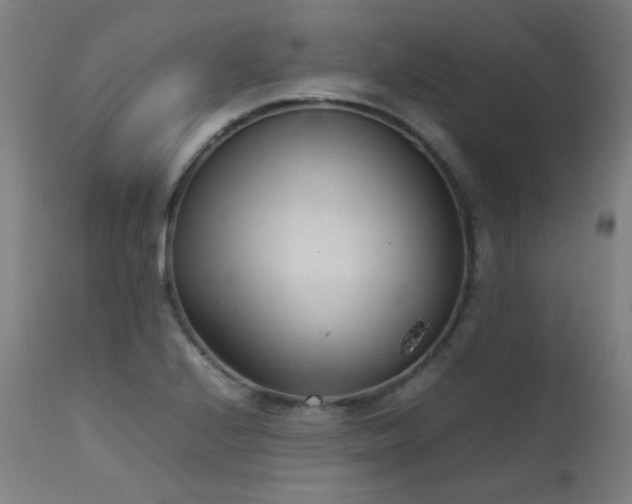 X0000111921224200907271240
