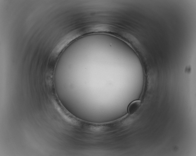 X0000111921225200907271240