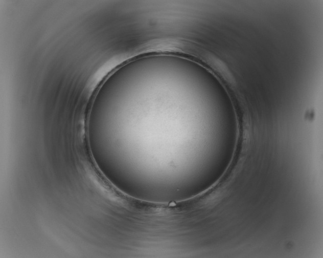 X0000111921226200907271240
