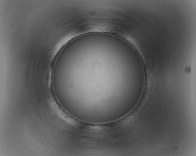 X0000111921227200907271240
