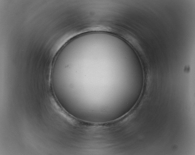X0000111921228200907271240