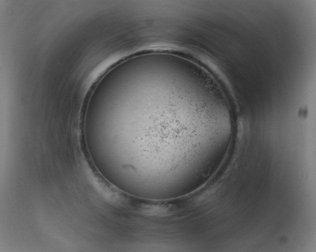 X0000111921229200907271240