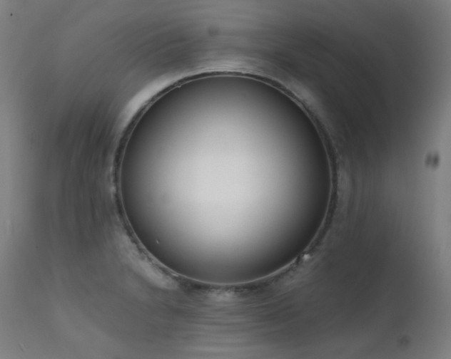 X0000111921230200907271240
