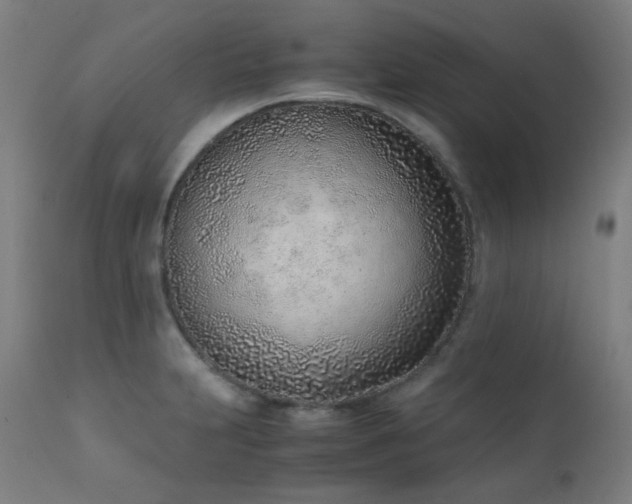 X0000111921231200907271240