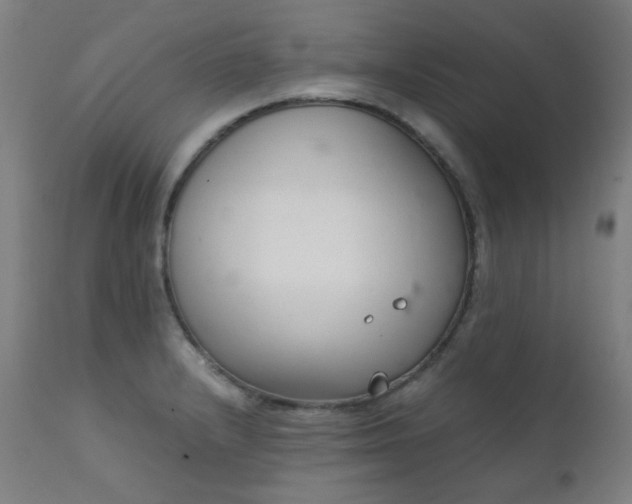 X0000111921232200907271240
