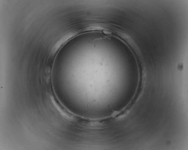 X0000111921233200907271240