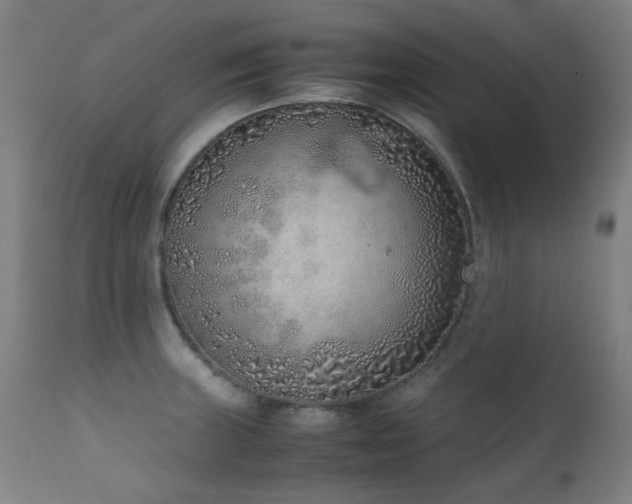 X0000111921235200907271240