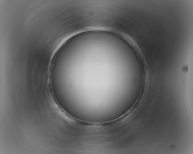 X0000111921236200907271240