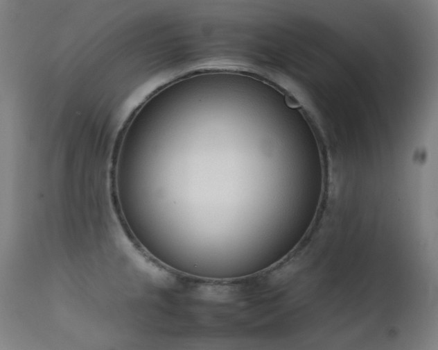 X0000111921237200907271241