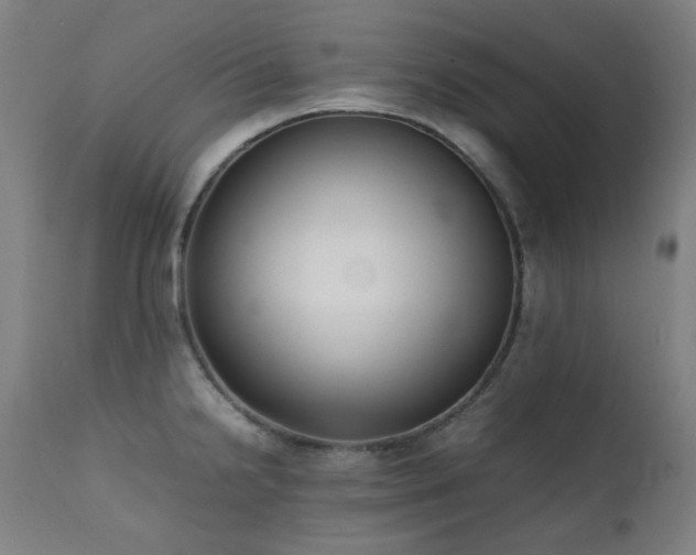 X0000111921238200907271241