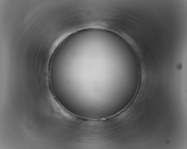 X0000111921240200907271241