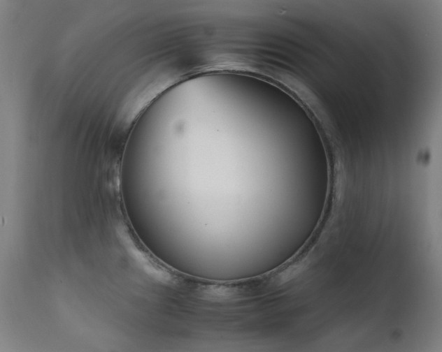 X0000111921241200907271241