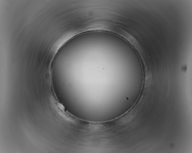 X0000111921242200907271241