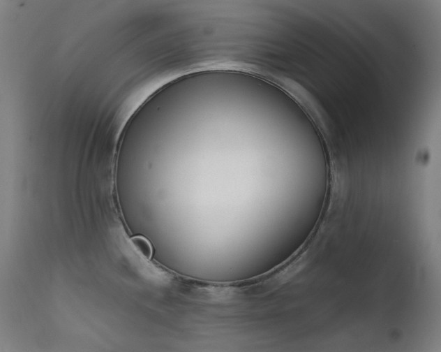 X0000111921244200907271241