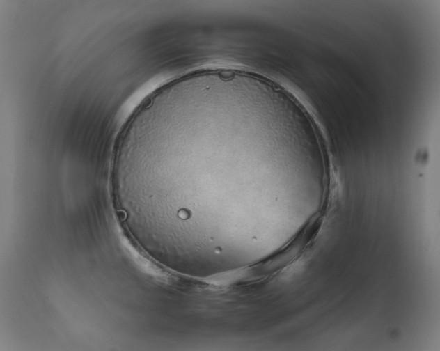 X0000111921245200907271241