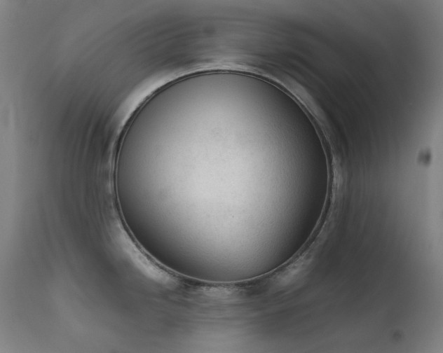 X0000111921246200907271241