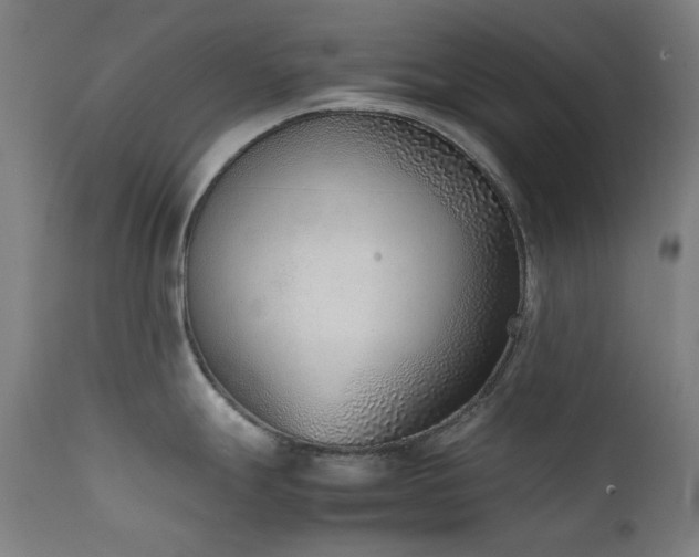 X0000111921247200907271241