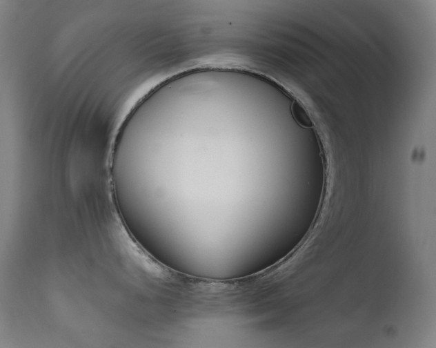 X0000111921248200907271241