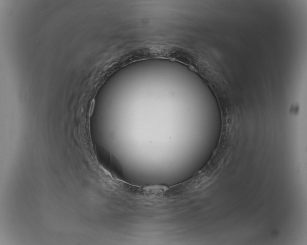 X0000111921249200907271240