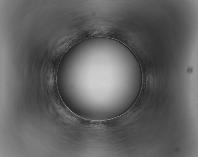 X0000111921250200907271240