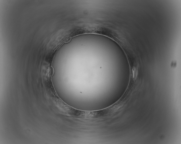 X0000111921251200907271240