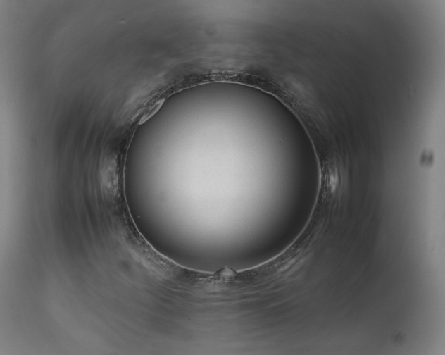 X0000111921252200907271240