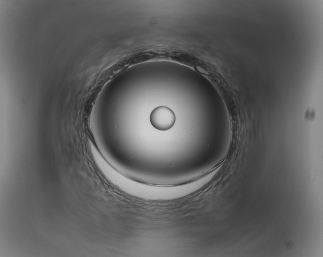 X0000111921253200907271240