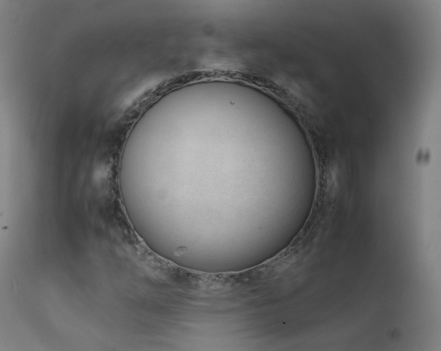 X0000111921254200907271240