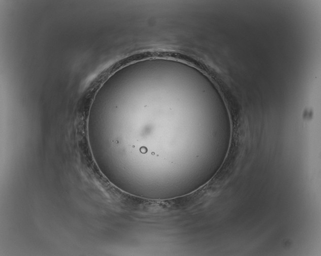 X0000111921255200907271240